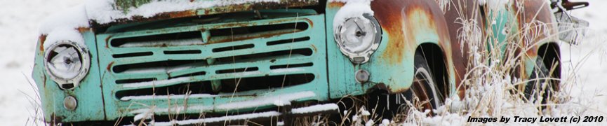 Random header image... Refresh for more!